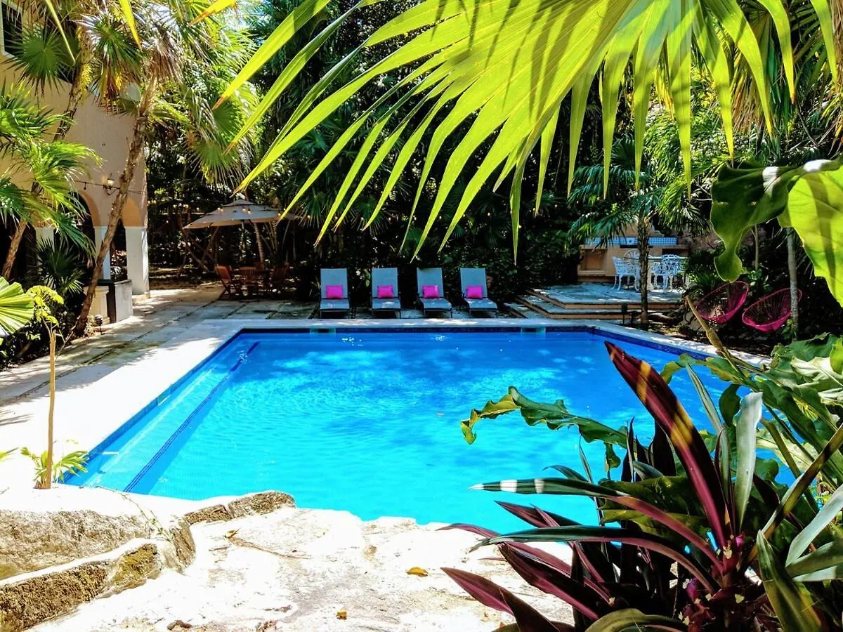 Villa Steps To Beach Sleep 29 Largest Pool In Playa Playa del Carmen México