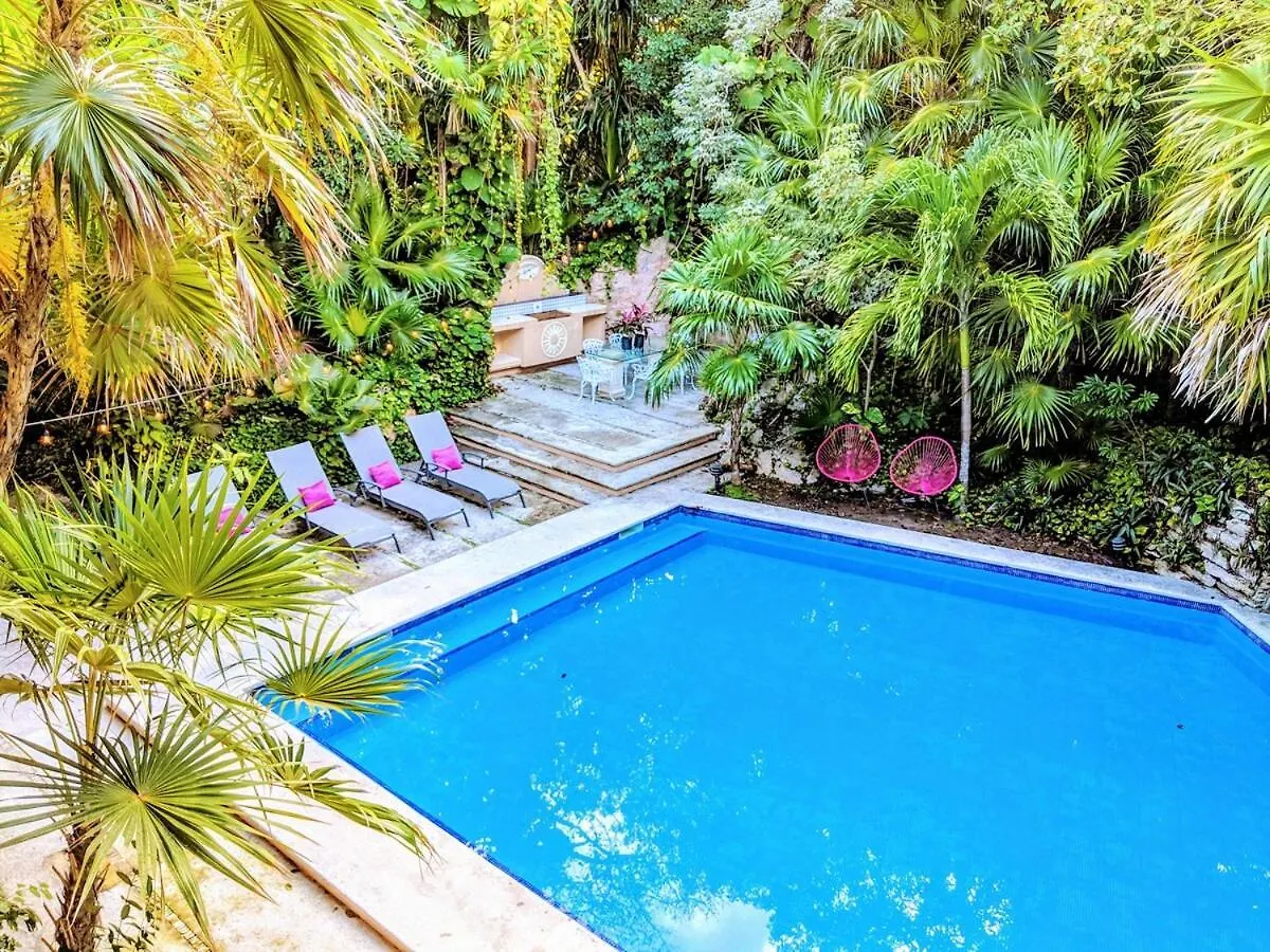 Villa Steps To Beach Sleep 29 Largest Pool In Playa Playa del Carmen